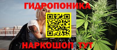 дурь Пугачёв