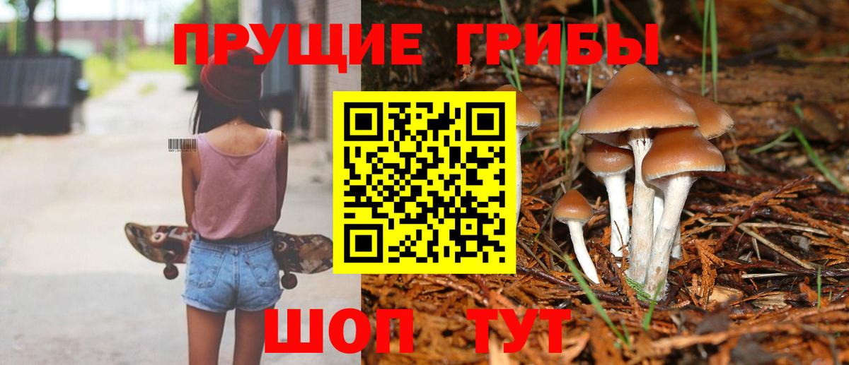 Галлюциногенные грибы MAGIC MUSHROOMS Скопин